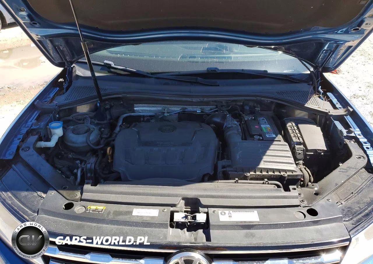 2019 Volkswagen Tiguan S VIN:3VV1B7AX0KM117484 - 12