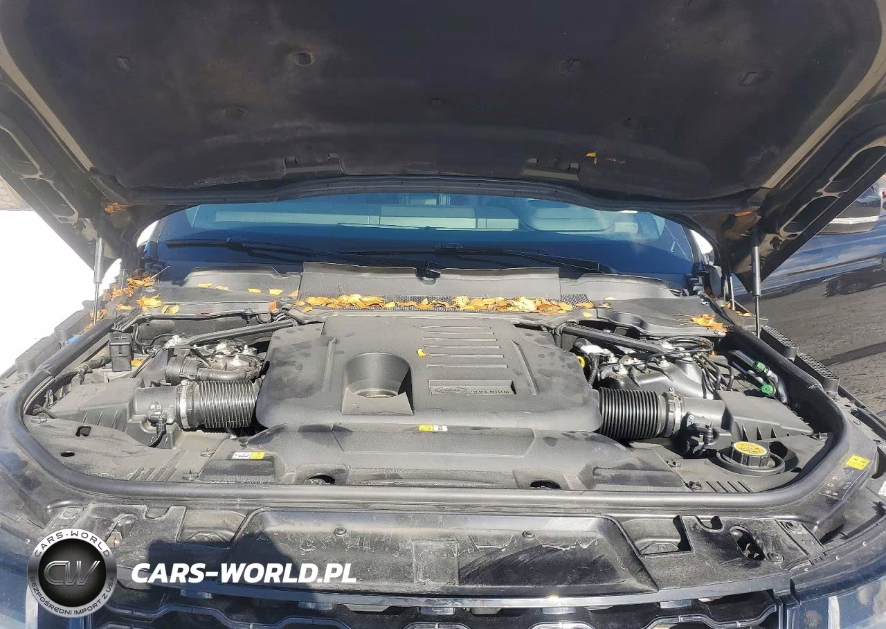 2019 Land Rover Range Rover Sport Hse VIN:SALWR2RU7KA864776 - 12