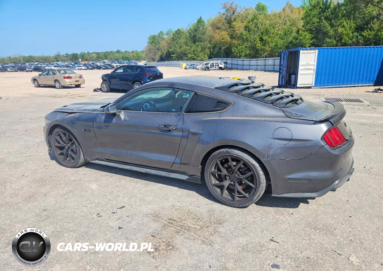 2017 Ford Mustang Gt VIN:1FA6P8CF5H5301209 - 2