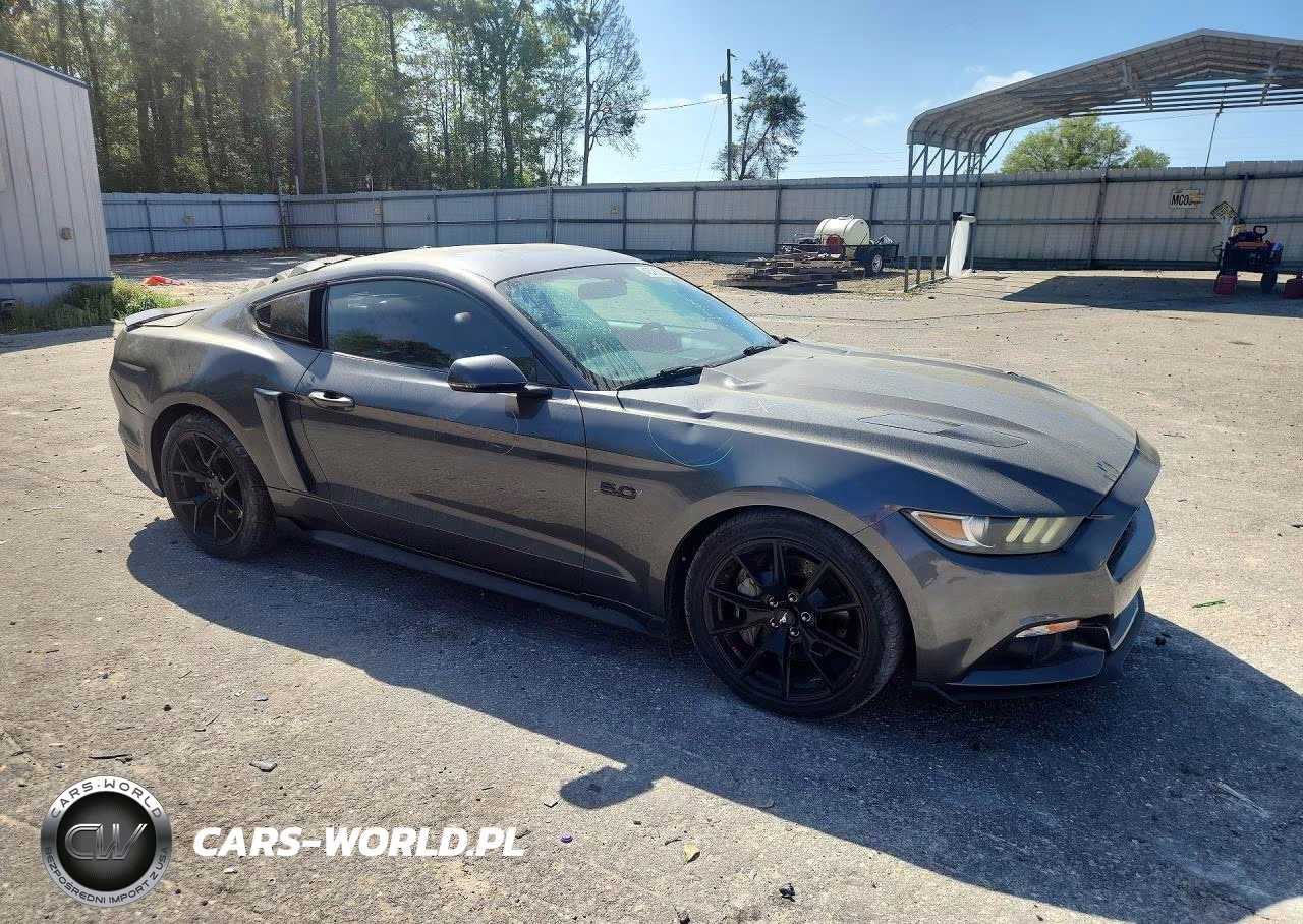 2017 Ford Mustang Gt VIN:1FA6P8CF5H5301209 - 4
