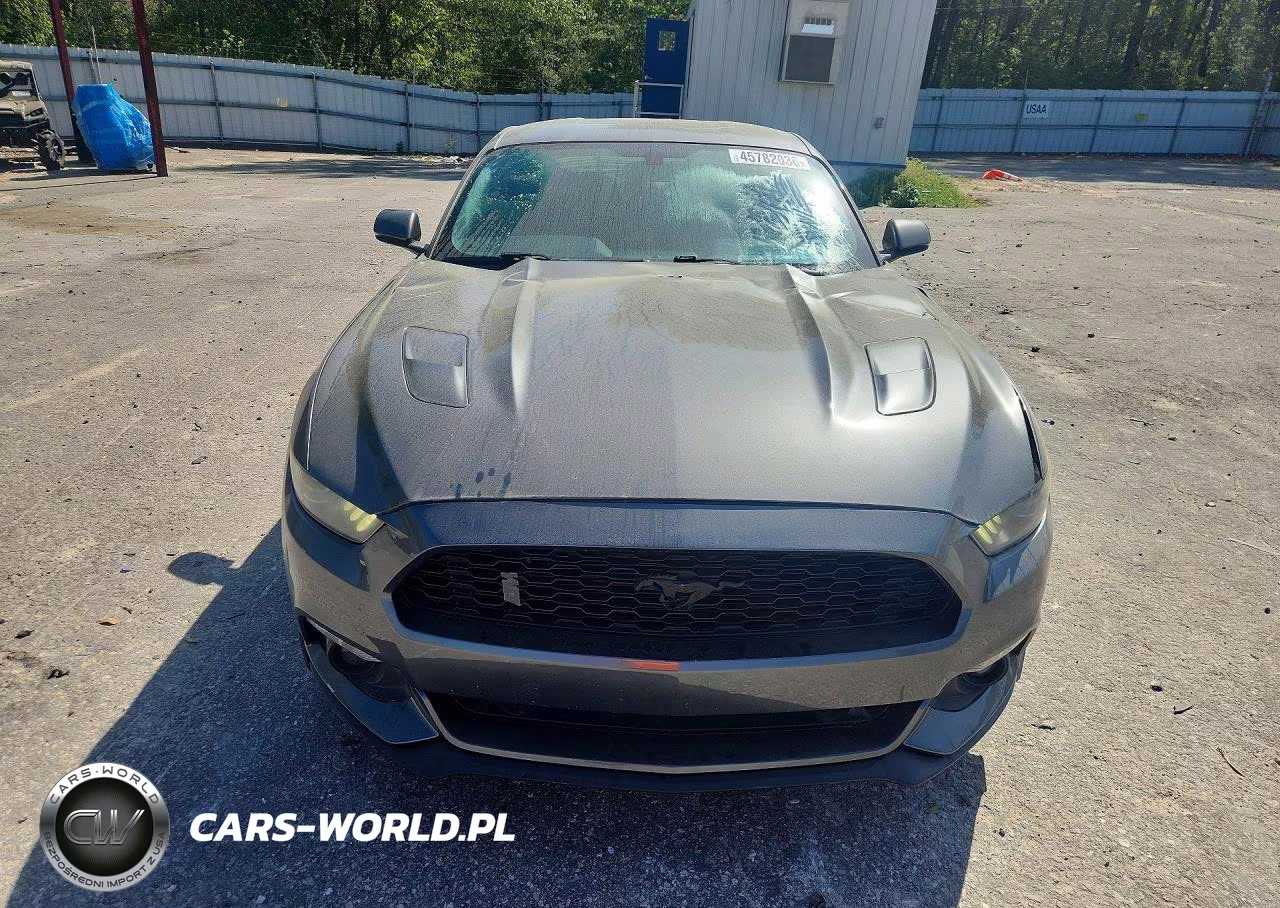2017 Ford Mustang Gt VIN:1FA6P8CF5H5301209 - 5