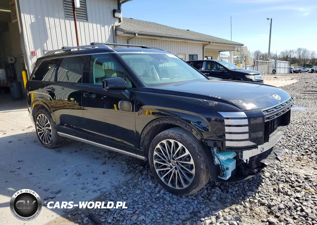 2026 Hyundai Palisade Calligraphy VIN:KM8RMES29TU033790 - 4
