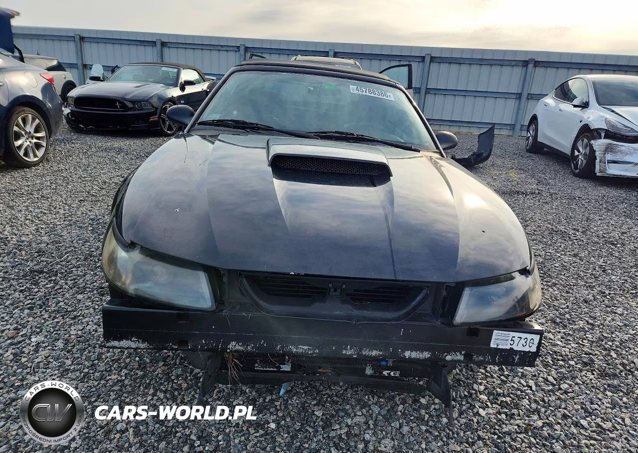 2001 Ford Mustang Gt VIN:1FAFP45X11F126679 - 5
