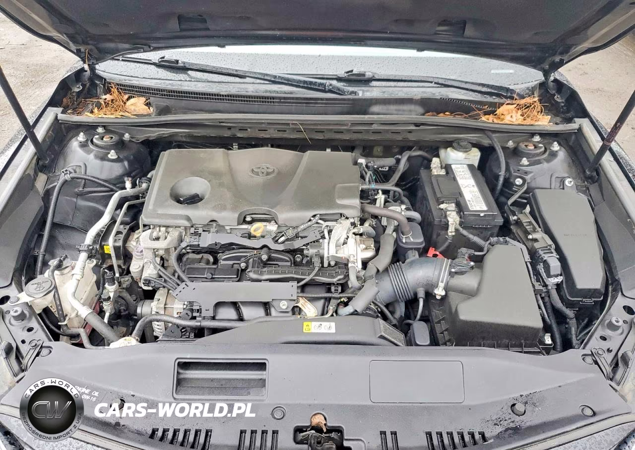 2019 Toyota Camry Le VIN:4T1B11HK7KU812212 - 11