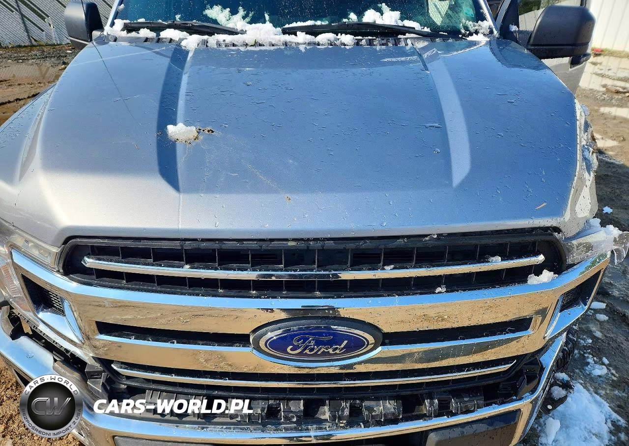 2020 Ford F150 Supercrew VIN:1FTEW1E4XLFA41484 - 11