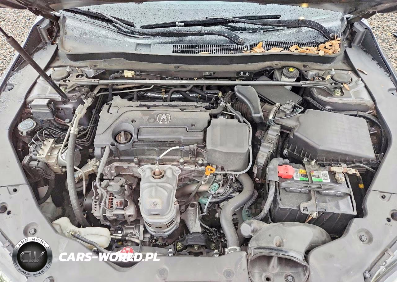 2017 Acura Tlx VIN:19UUB1F36HA009053 - 11