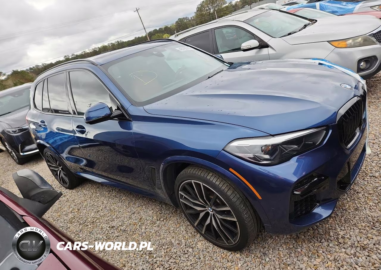 2023 BMW X5 xDrive40I VIN:5UXCR6C06P9P30758 - 4