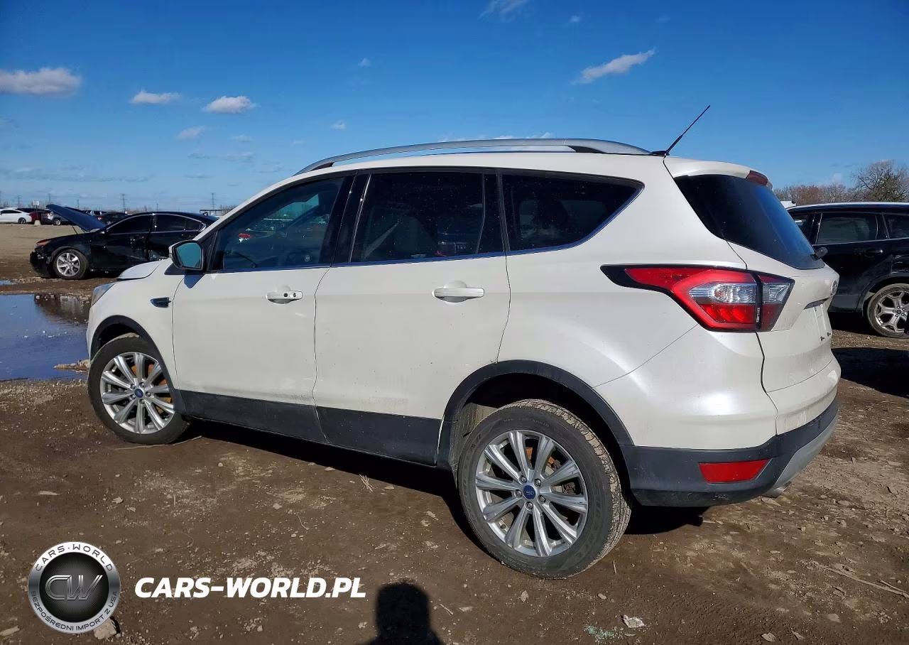 2017 Ford Escape Titanium VIN:1FMCU9J94HUE18287 - 2