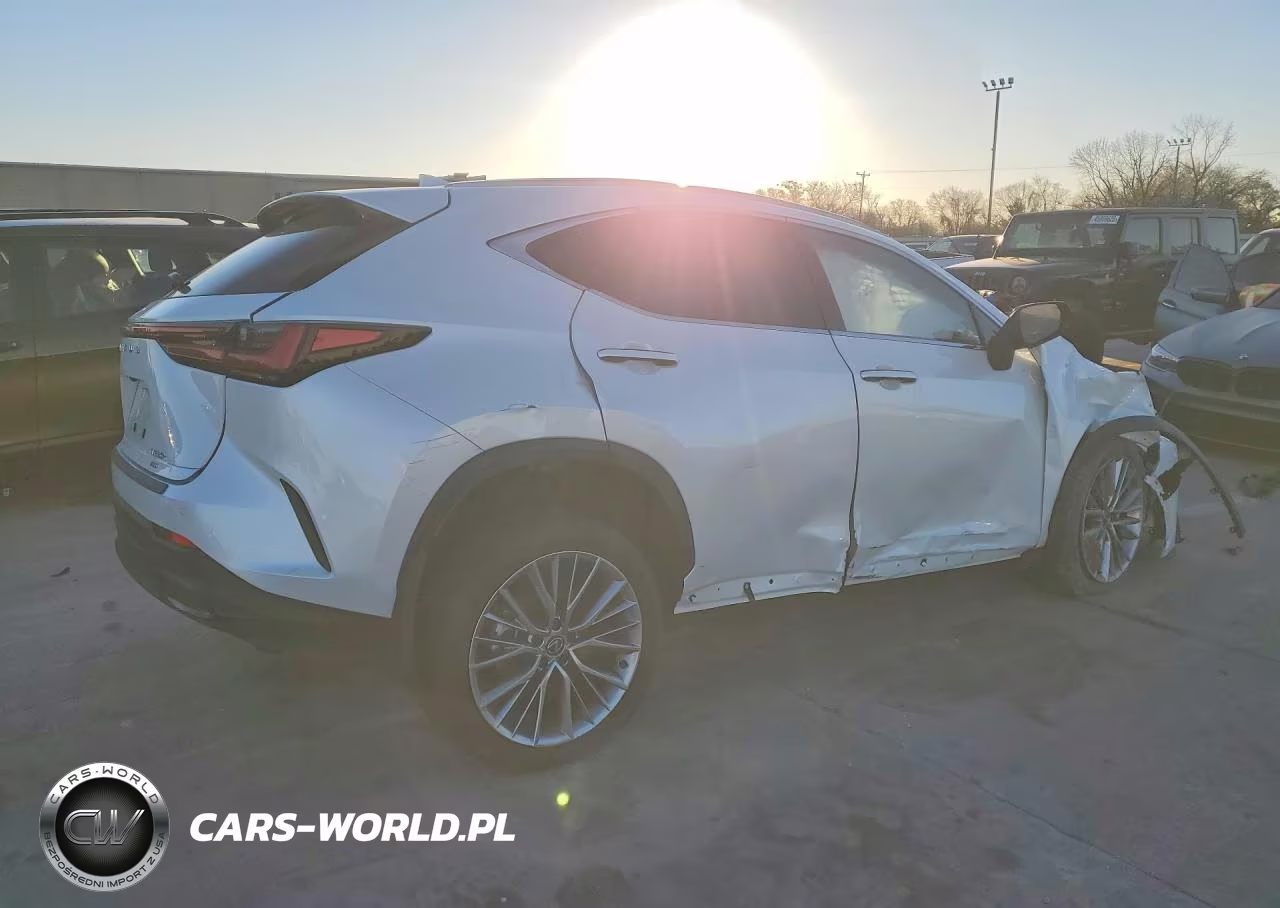 2025 Lexus Nx 350H Premium VIN:JTJGKCEZ3S2049909 - 3