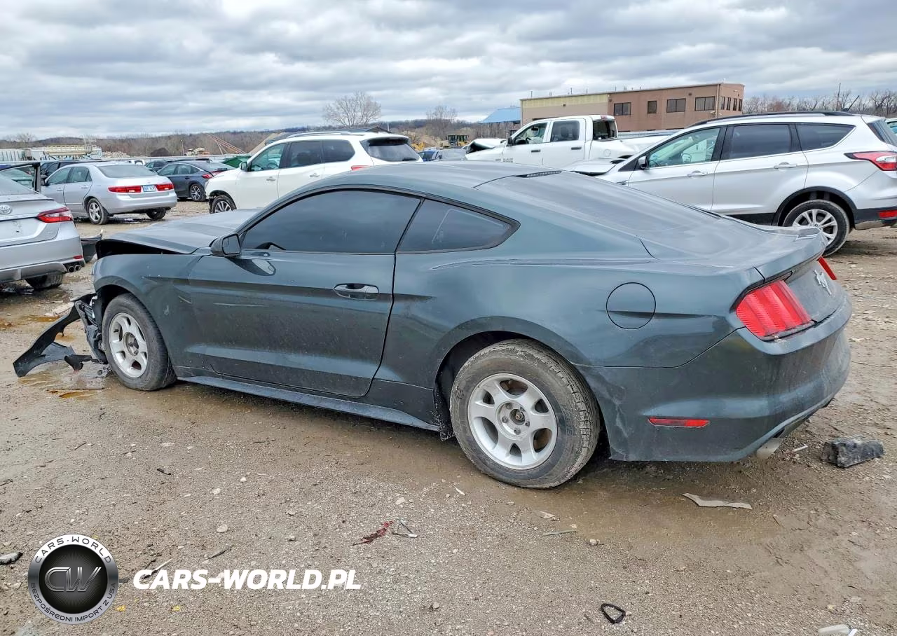 2015 Ford Mustang VIN:1FA6P8AM3F5376604 - 2