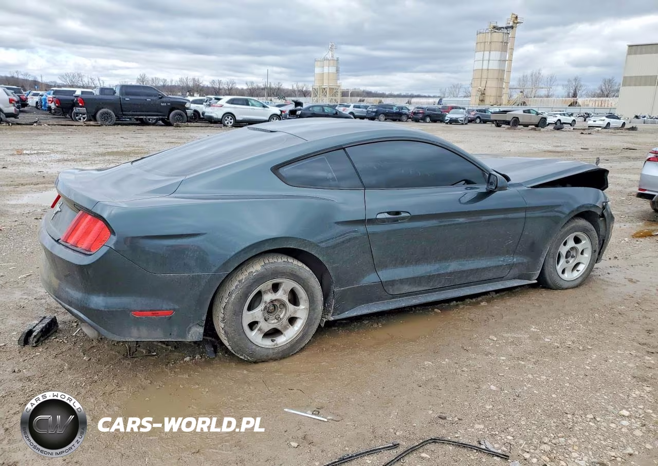 2015 Ford Mustang VIN:1FA6P8AM3F5376604 - 3