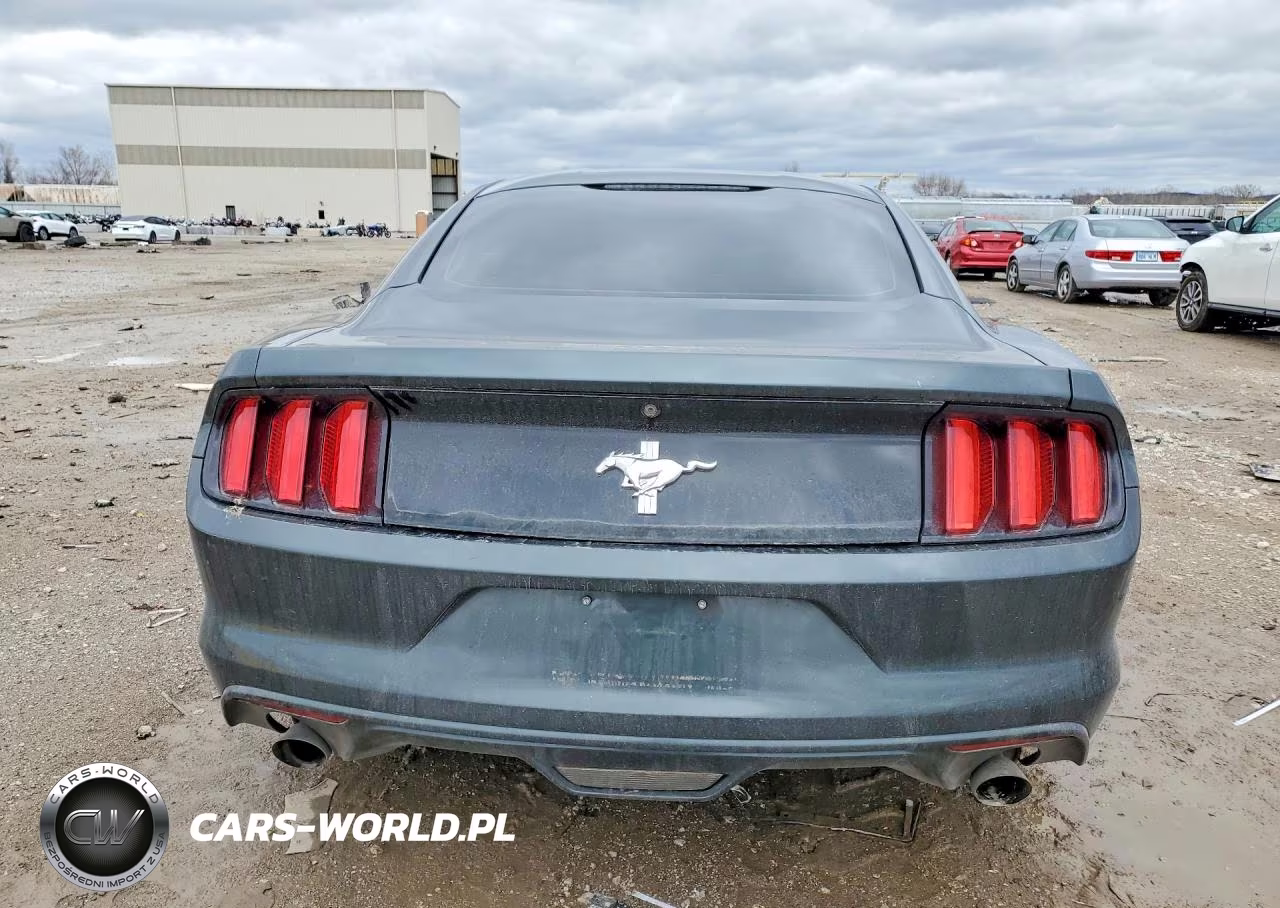 2015 Ford Mustang VIN:1FA6P8AM3F5376604 - 6