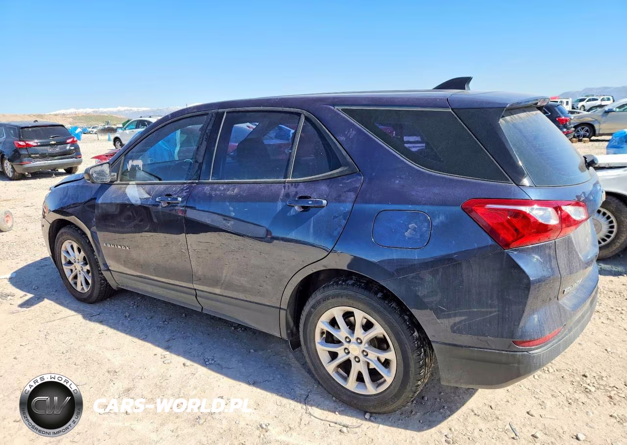 2019 Chevrolet Equinox Ls VIN:3GNAXHEV2KL319867 - 2