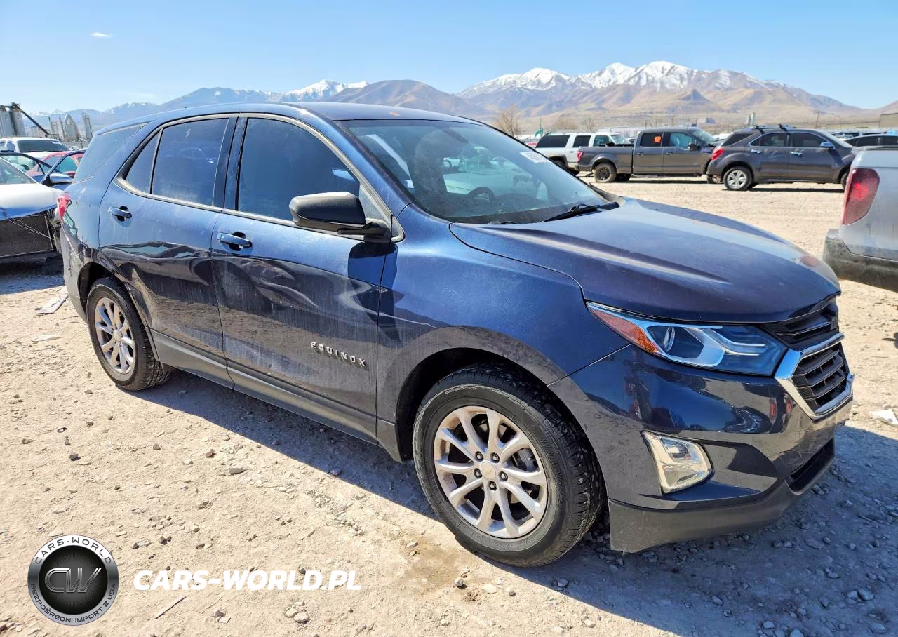 2019 Chevrolet Equinox Ls VIN:3GNAXHEV2KL319867 - 4