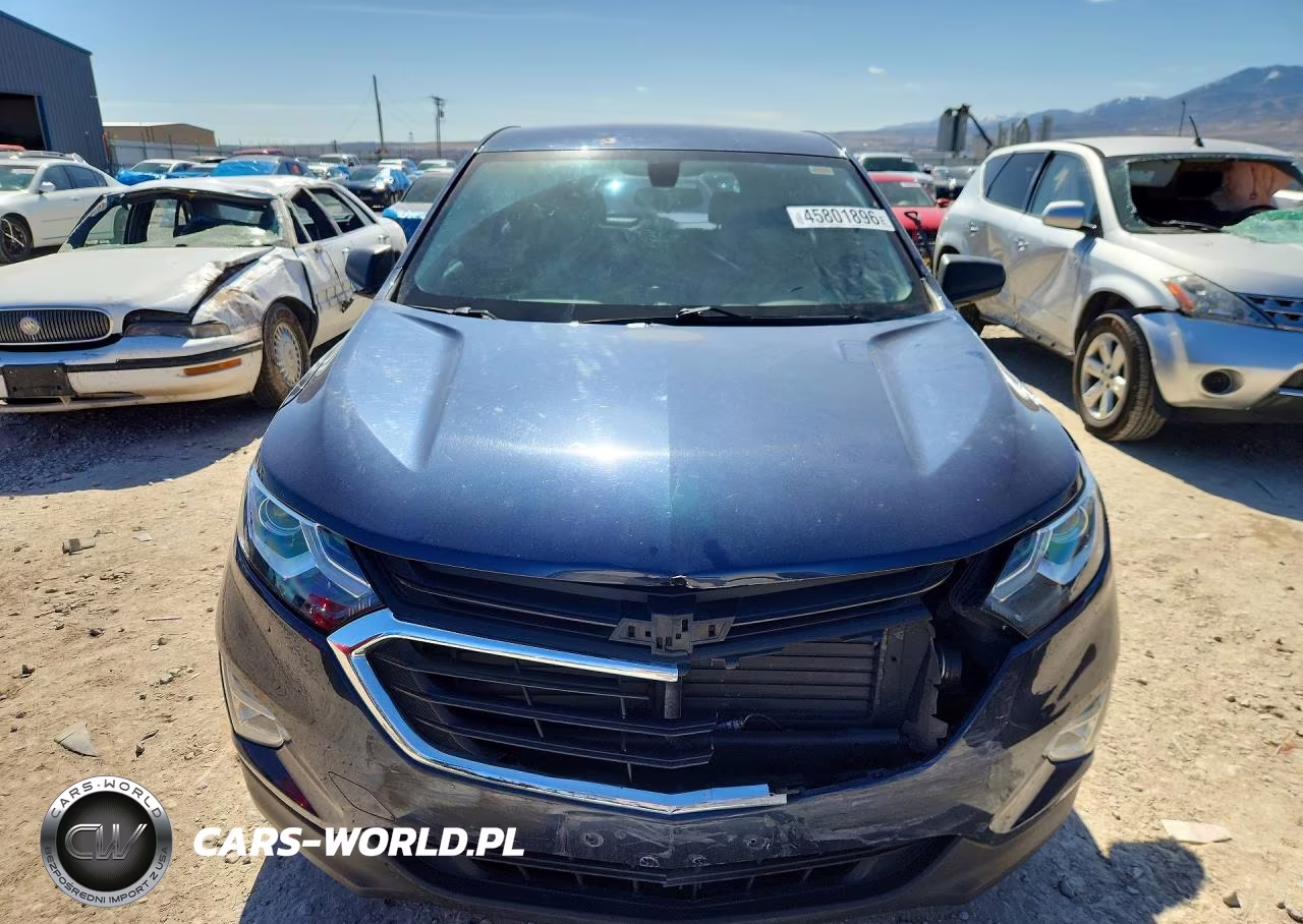 2019 Chevrolet Equinox Ls VIN:3GNAXHEV2KL319867 - 5