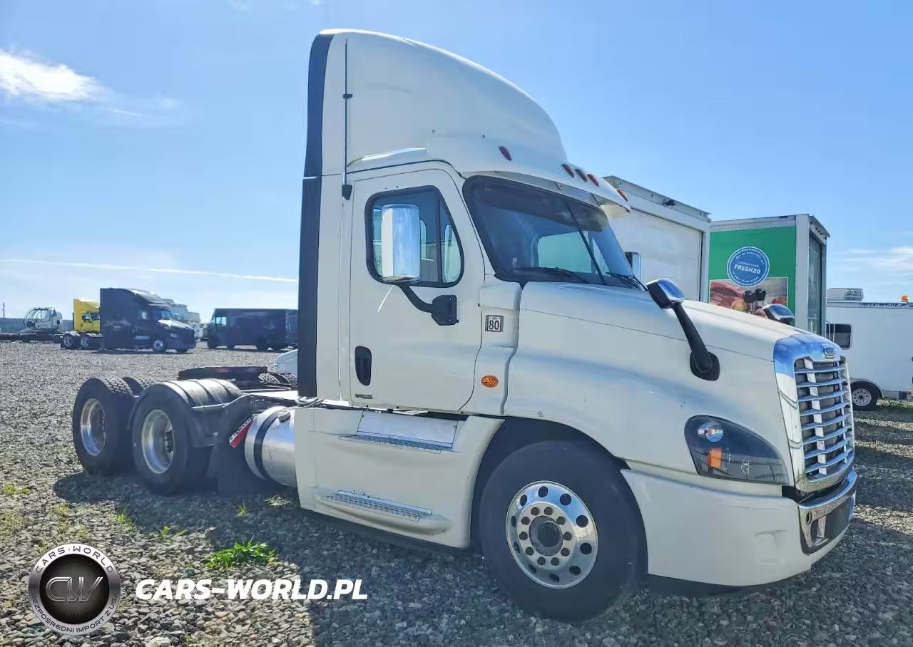 2019 Freightliner Cascadia 125 Semi Truck
