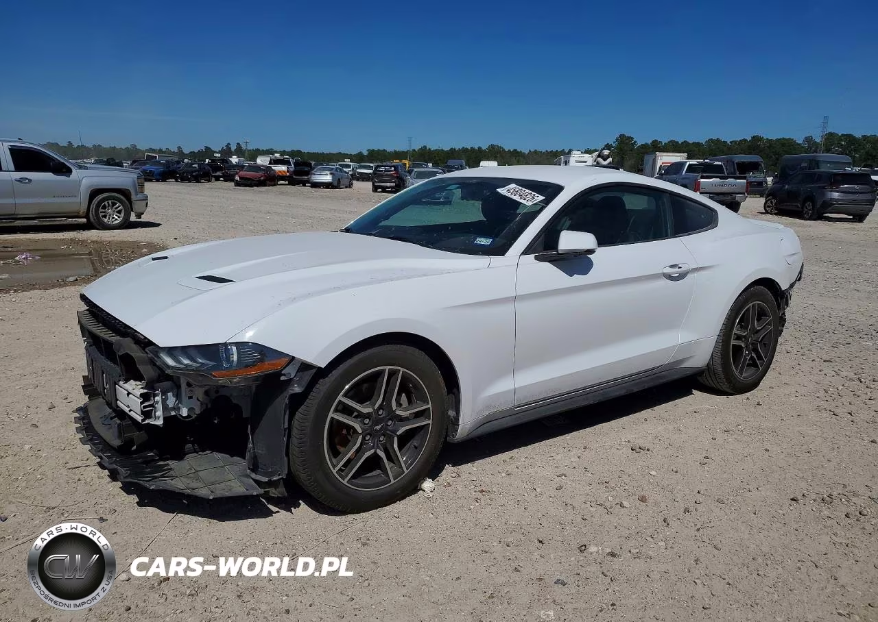 2019 Ford Mustang