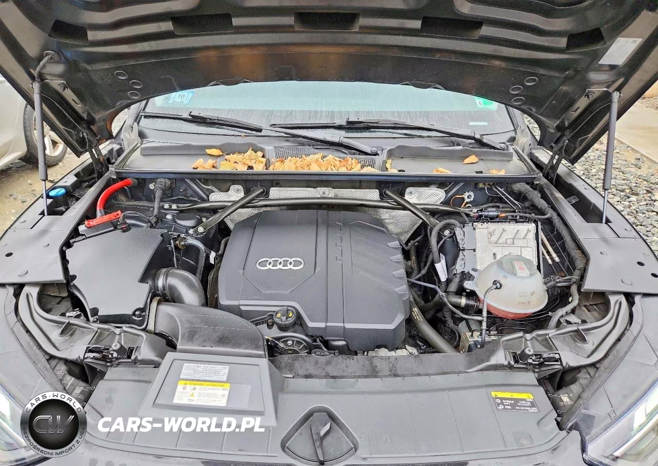2023 Audi Q5 Premium Plus 45 VIN:WA1EAAFY4P2101220 - 12