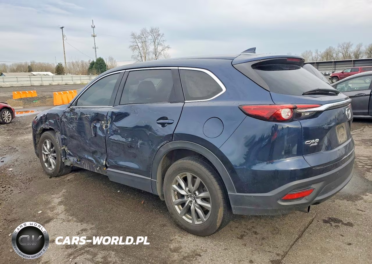 2019 Mazda Cx-9 Touring VIN:JM3TCBCY2K0314454 - 2