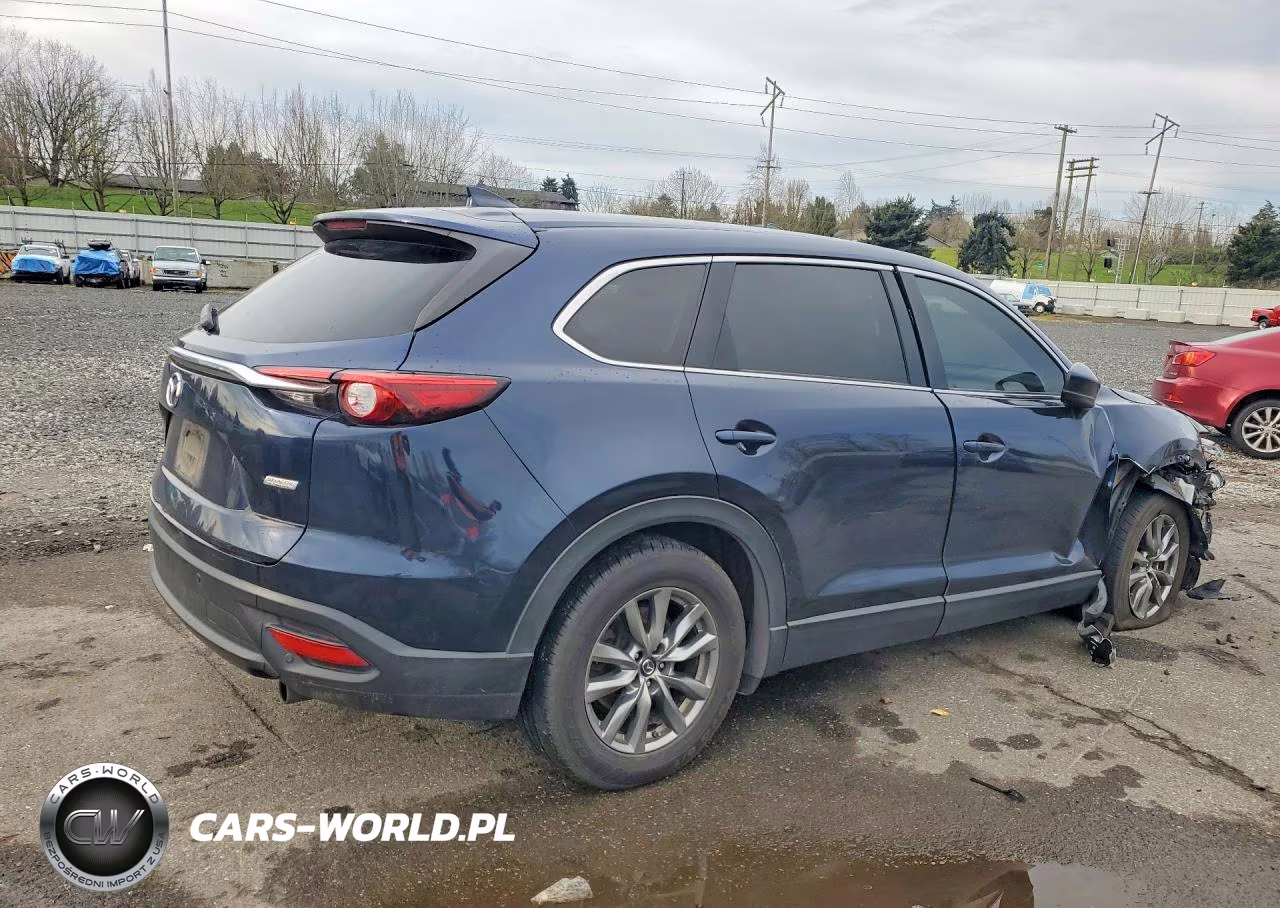 2019 Mazda Cx-9 Touring VIN:JM3TCBCY2K0314454 - 3