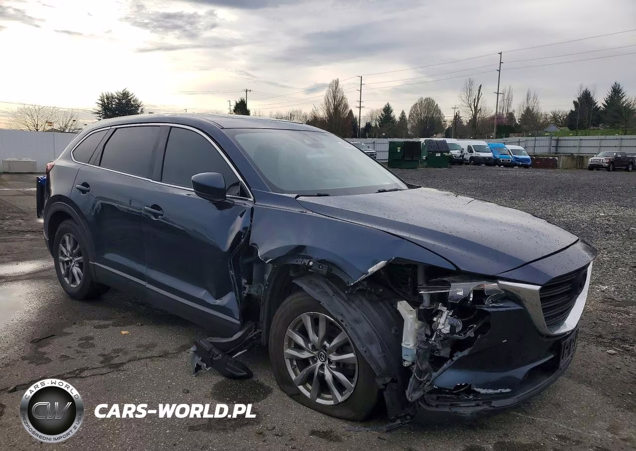 2019 Mazda Cx-9 Touring VIN:JM3TCBCY2K0314454 - 4