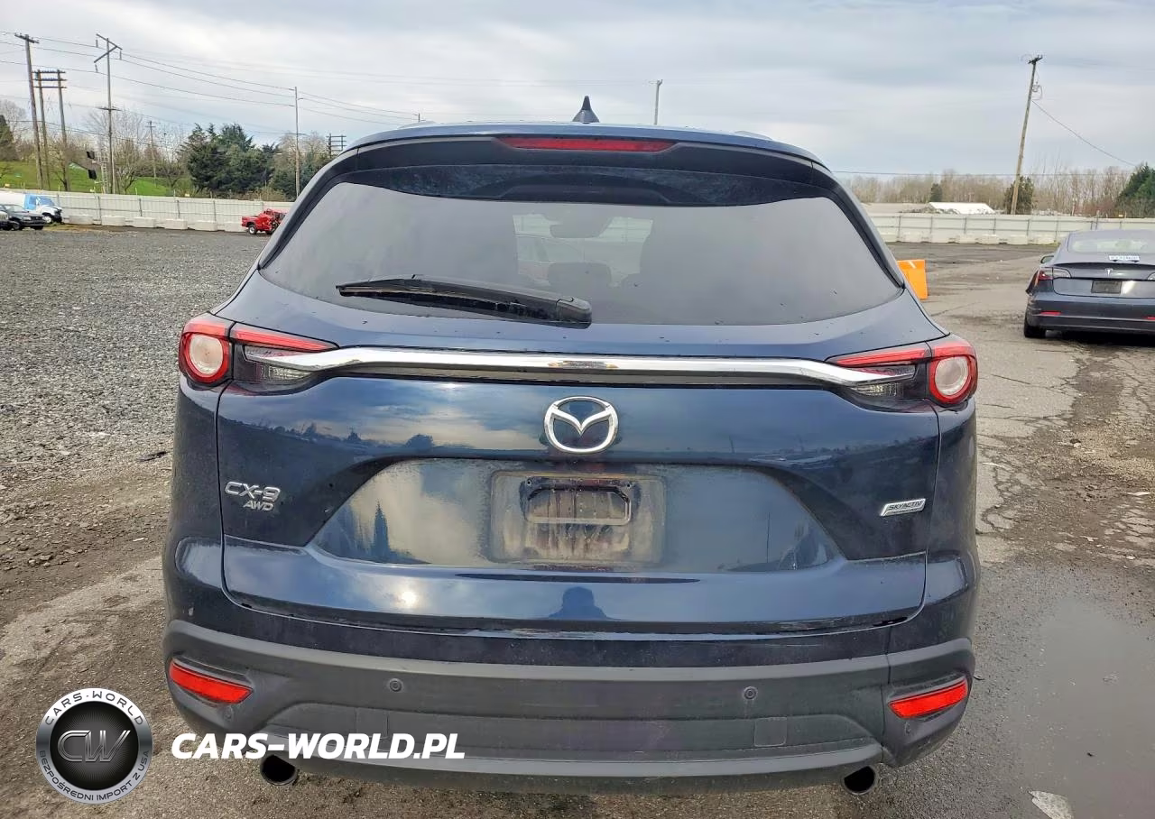 2019 Mazda Cx-9 Touring VIN:JM3TCBCY2K0314454 - 6