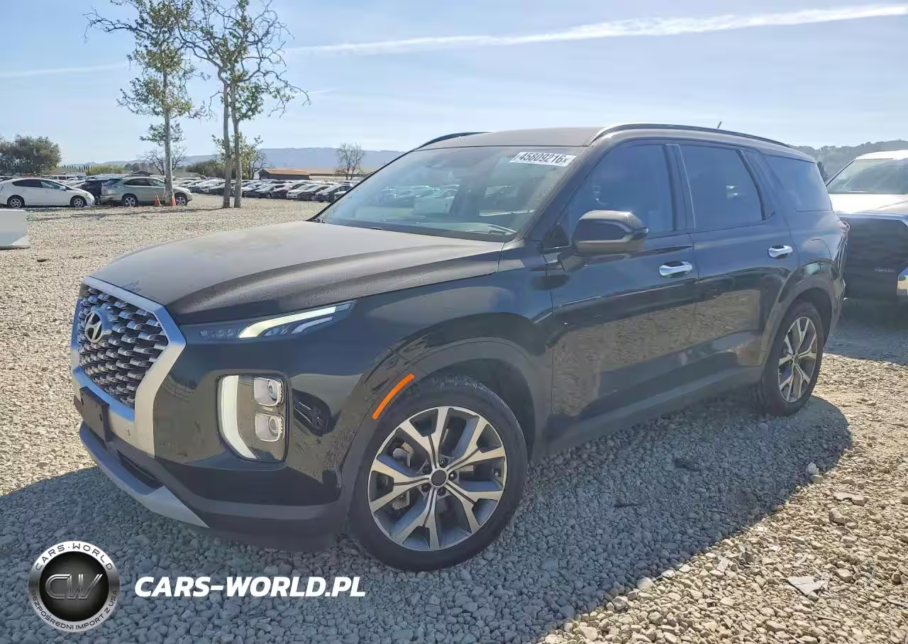 2020 Hyundai Palisade Sel