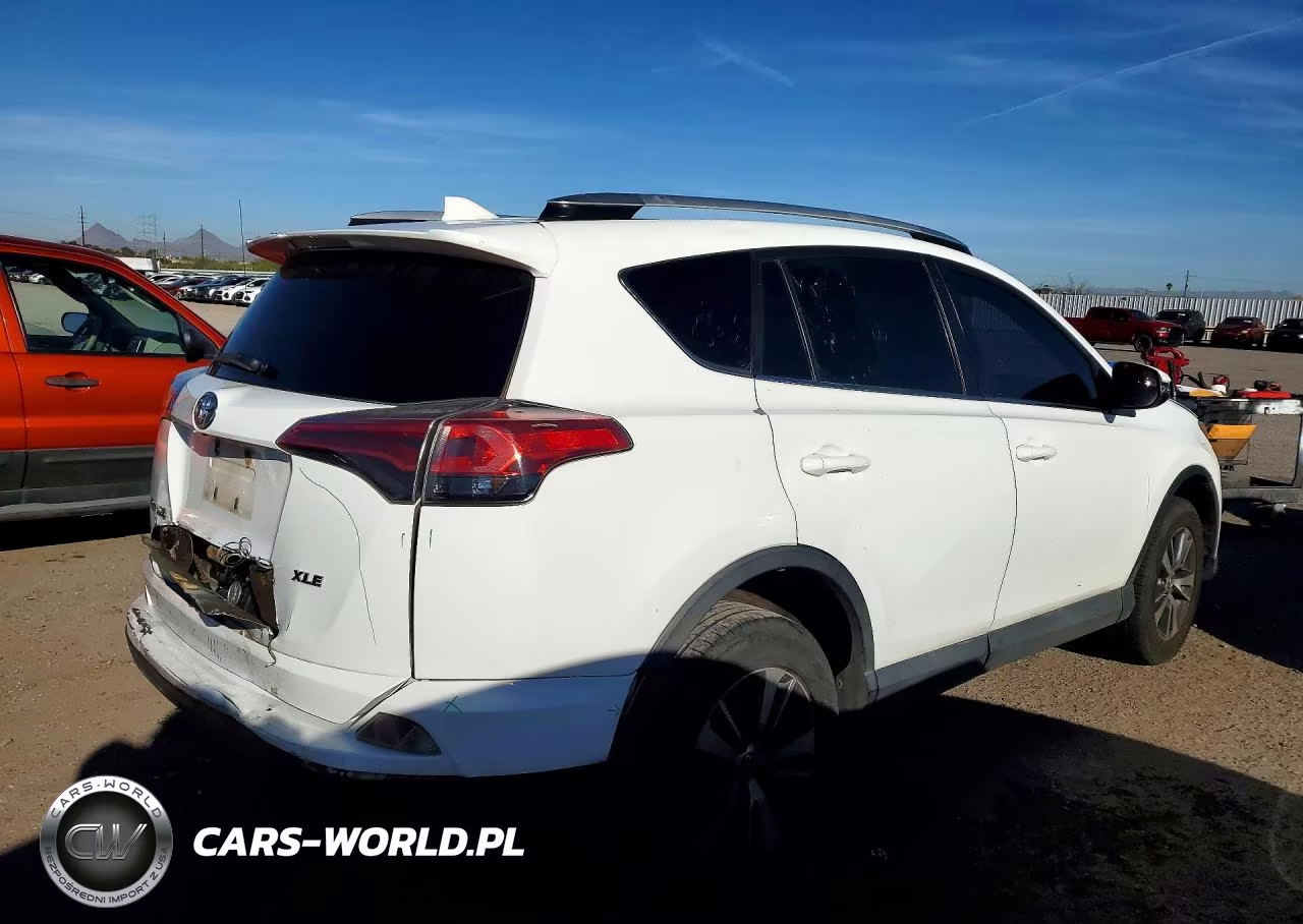 2016 Toyota Rav4 Xle VIN:2T3WFREV9GW255432 - 3