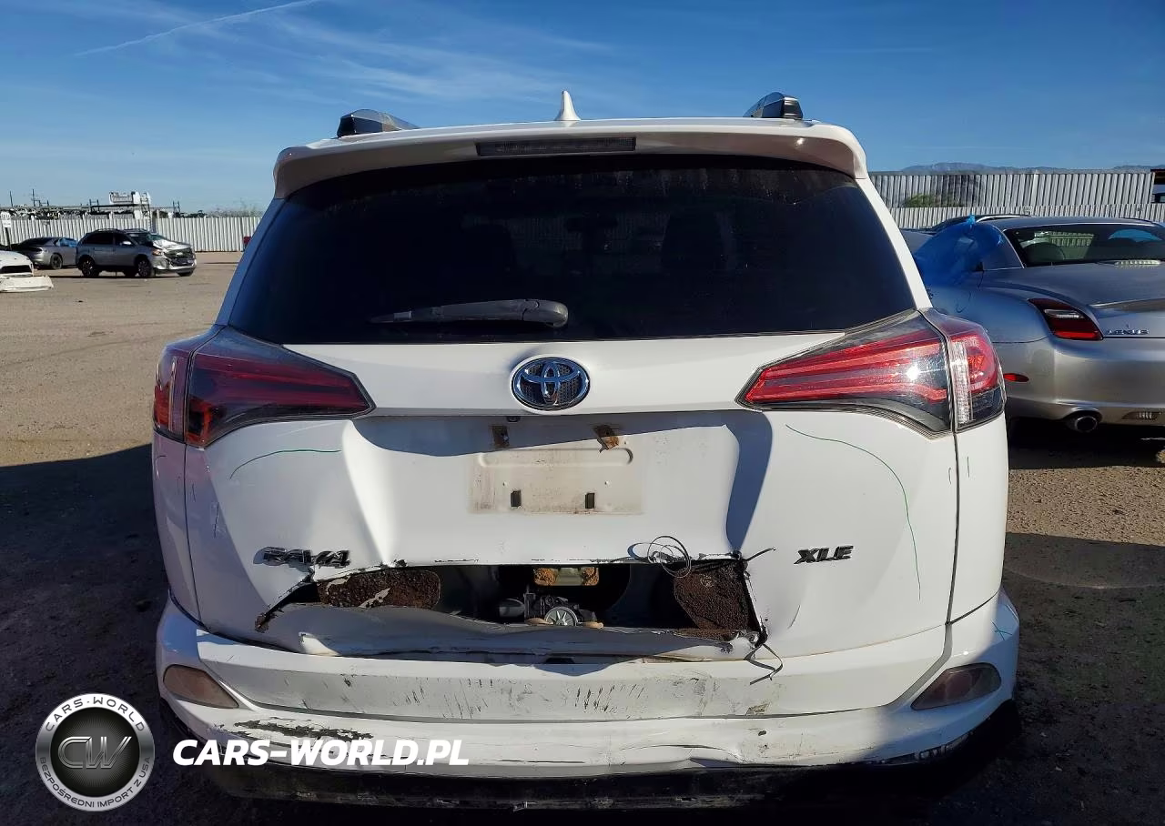 2016 Toyota Rav4 Xle VIN:2T3WFREV9GW255432 - 6