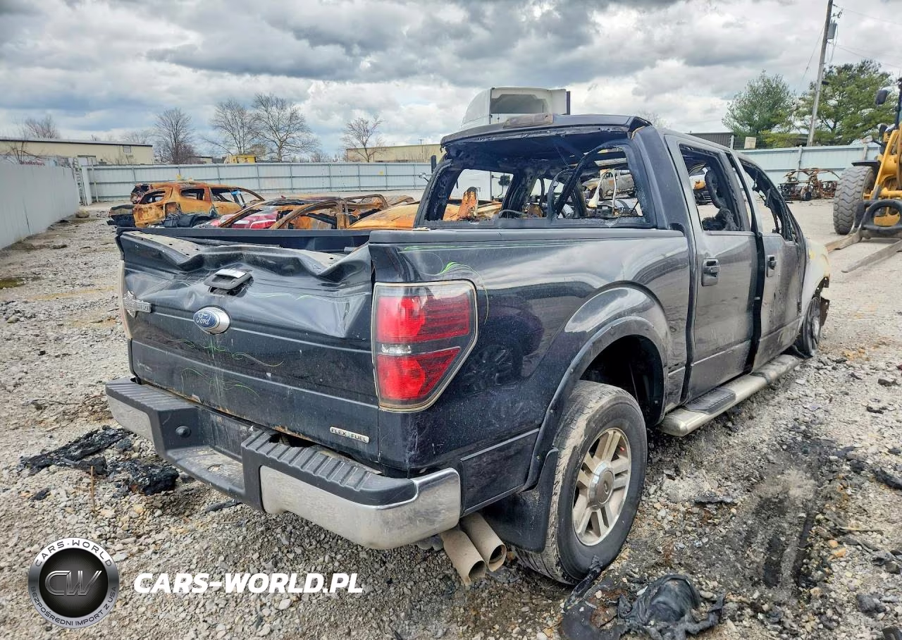 2010 Ford F150 Supercrew VIN:1FTFW1EV9AFB63814 - 3