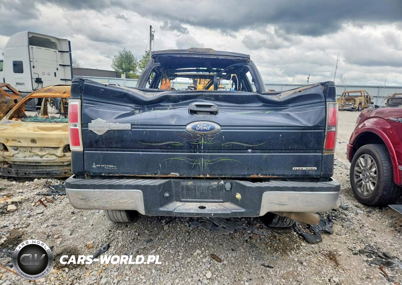2010 Ford F150 Supercrew VIN:1FTFW1EV9AFB63814 - 6