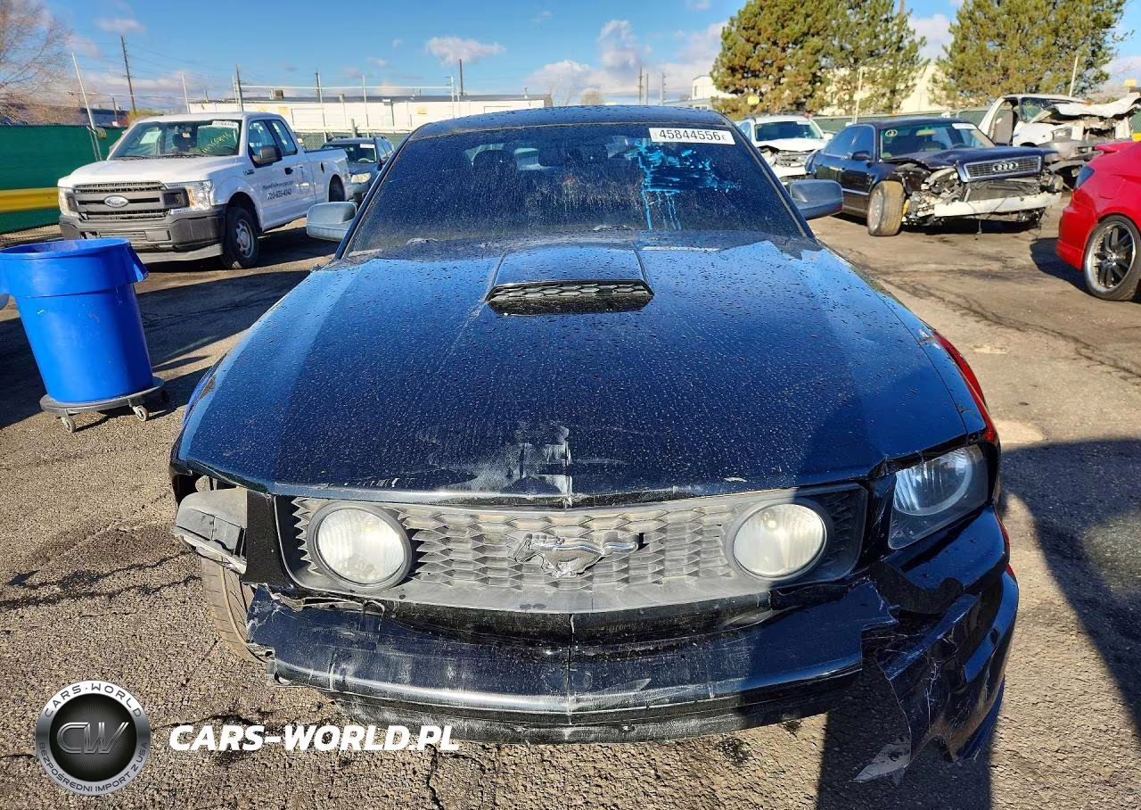 2008 Ford Mustang Gt VIN:1ZVHT82H485199173 - 5