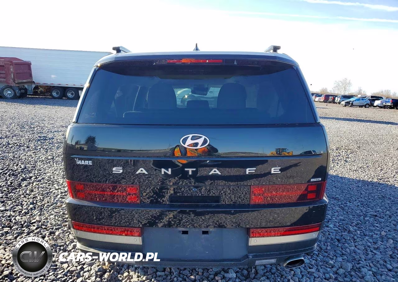 2024 Hyundai Santa Fe Limited VIN:5NMP4DGL7RH034508 - 6