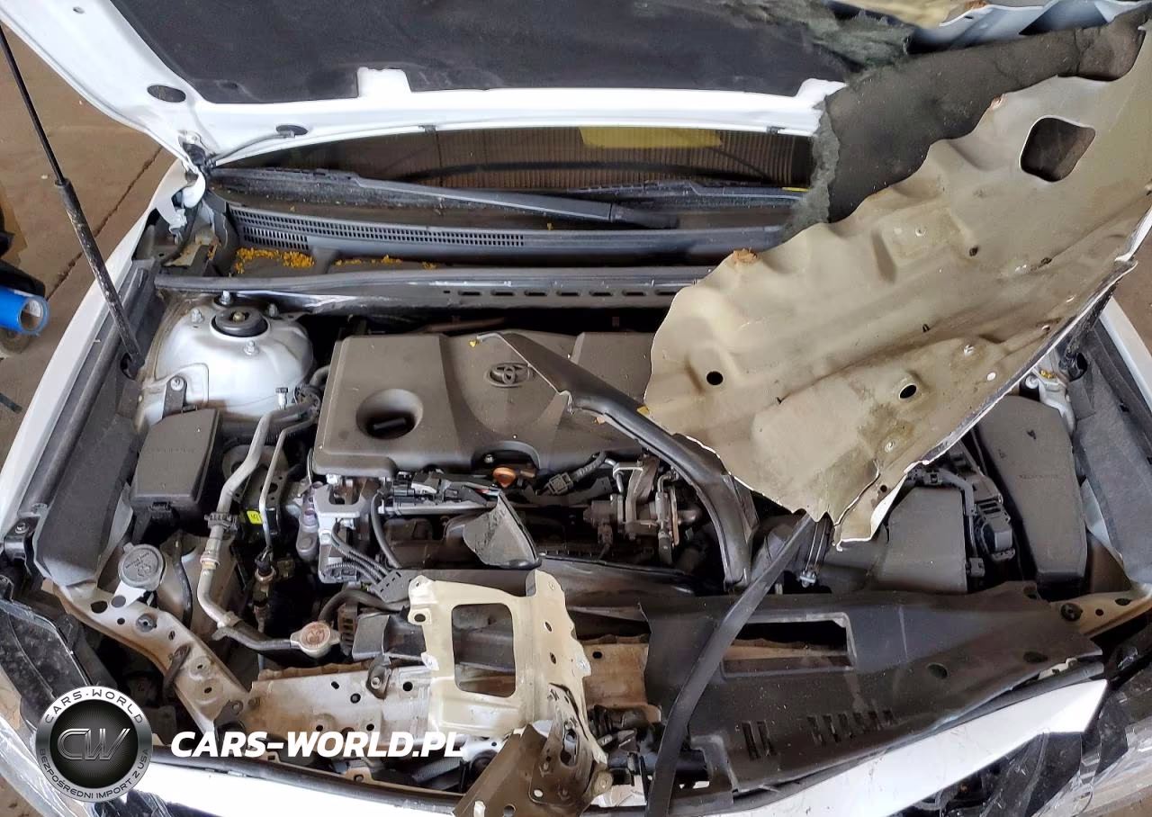 2019 Toyota Camry Xse VIN:4T1B61HK9KU808664 - 11