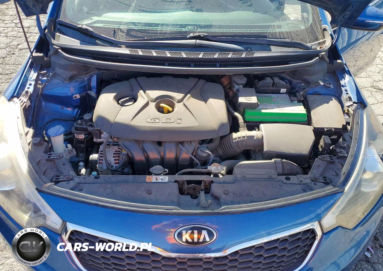 2015 Kia Forte Ex VIN:KNAFX4A88F5280504 - 11