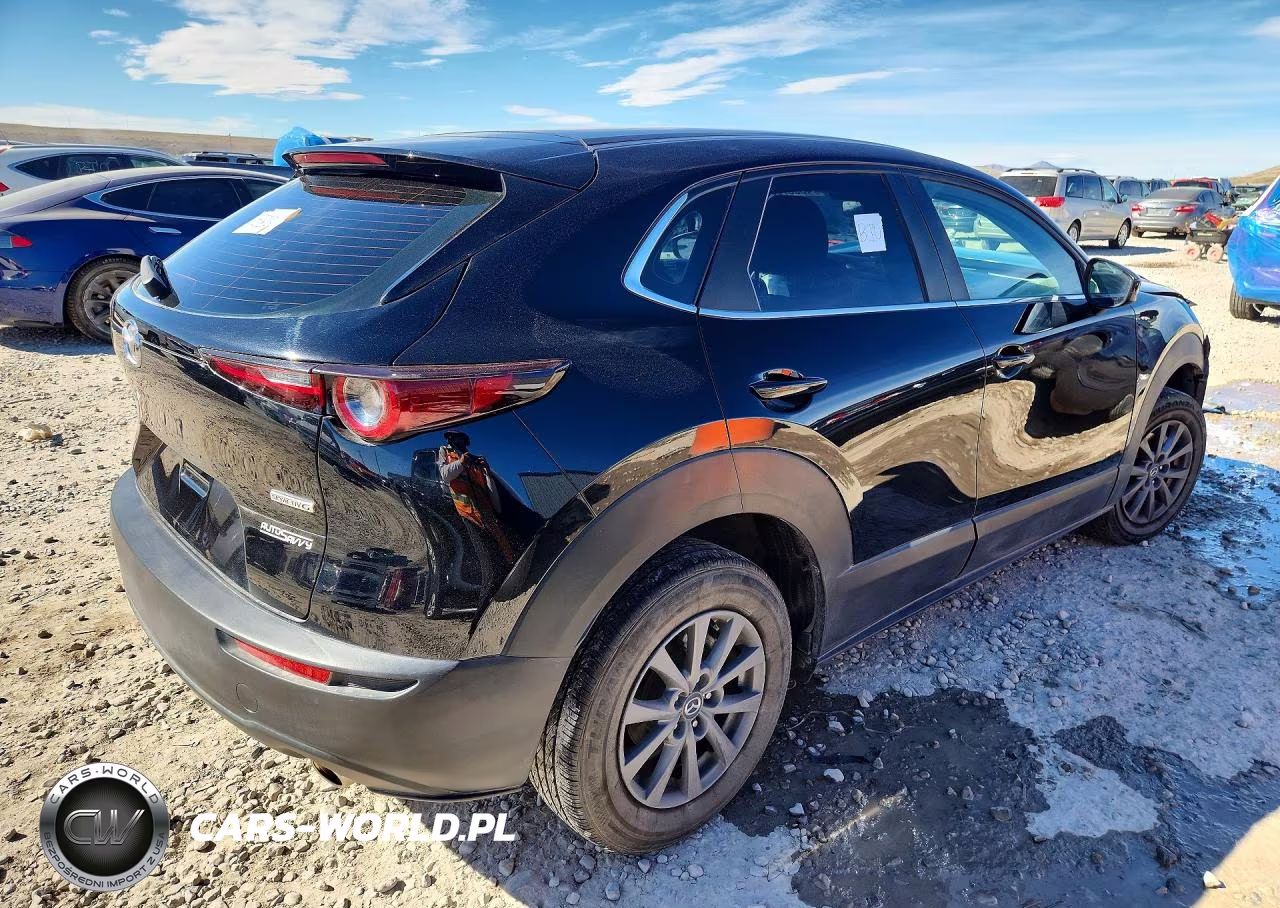 2023 Mazda Cx-30 VIN:3MVDMBAM0PM520496 - 3