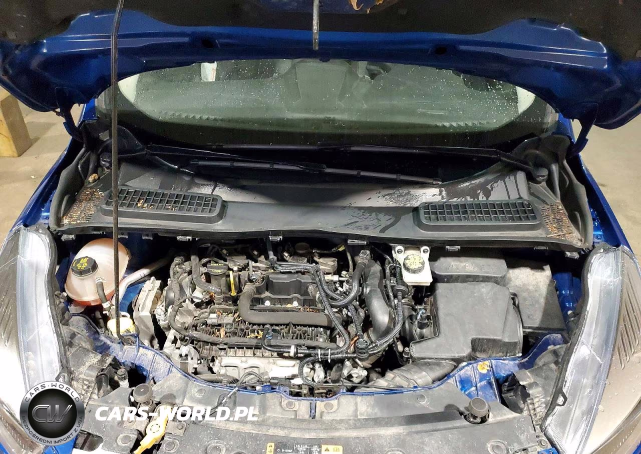 2019 Ford Escape Se VIN:1FMCU9GD5KUB27901 - 12
