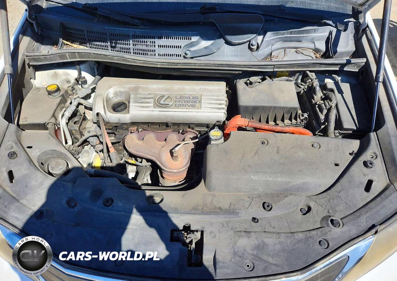 2010 Lexus Hs 250H Premium VIN:JTHBB1BA8A2021794 - 11