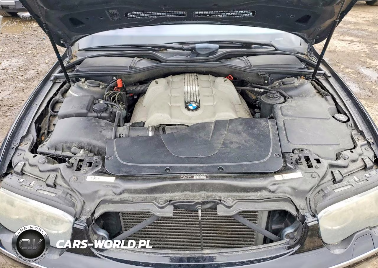 2005 BMW 745 Li VIN:WBAGN63545DS58156 - 11