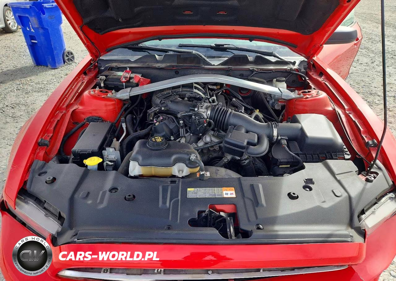 2013 Ford Mustang VIN:1ZVBP8EM7D5269892 - 11