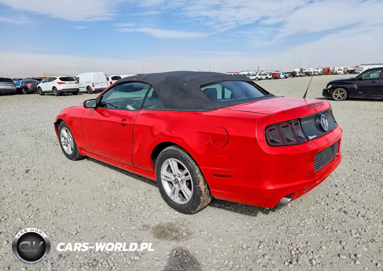 2013 Ford Mustang VIN:1ZVBP8EM7D5269892 - 2