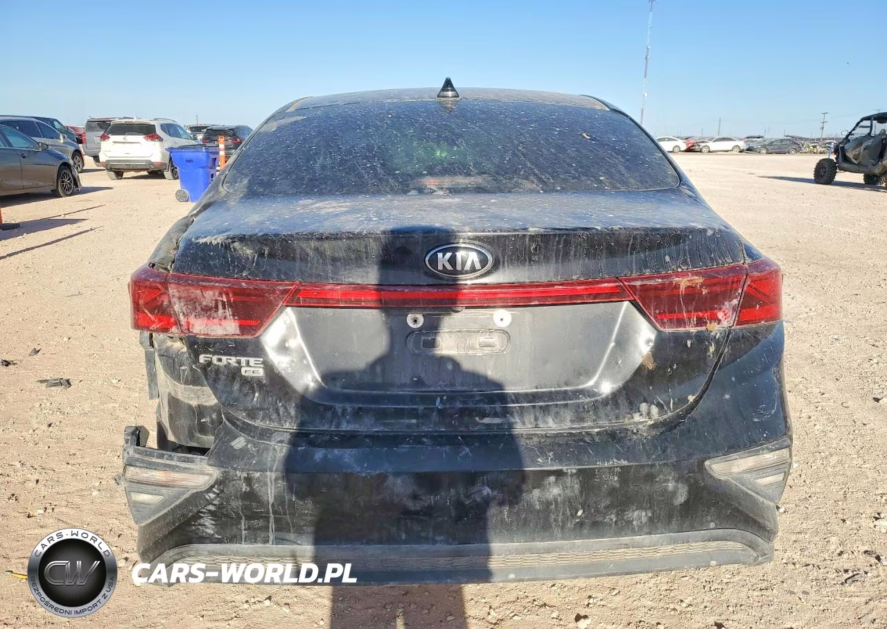 2020 Kia Forte Fe VIN:3KPF24AD6LE180447 - 6