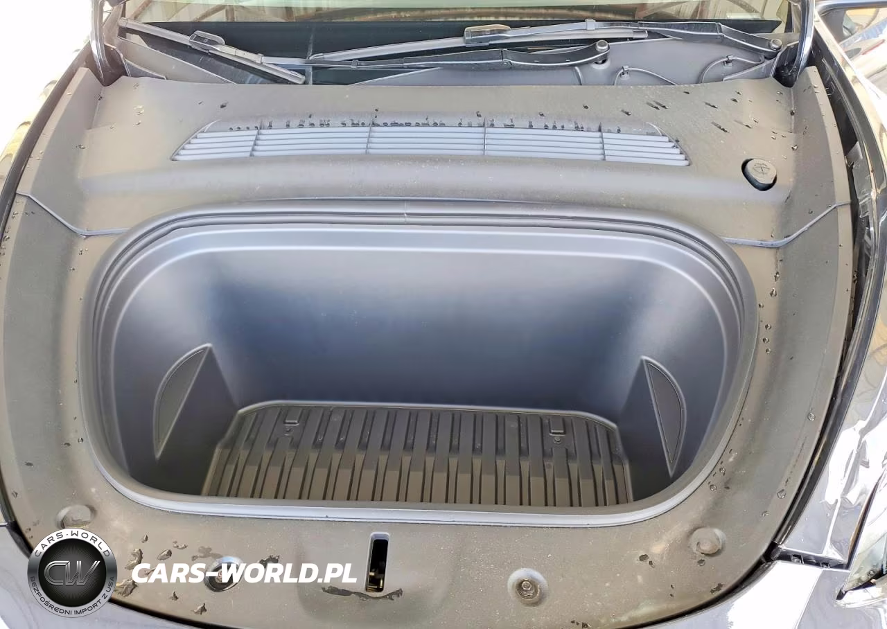 2024 Tesla Model Y VIN:7SAYGDEE9RA324282 - 11