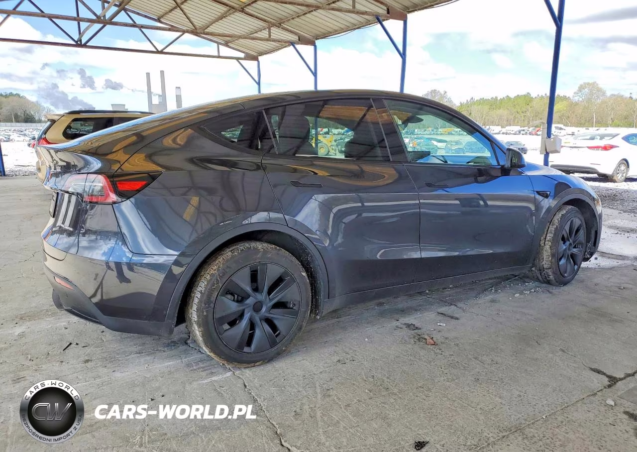 2024 Tesla Model Y VIN:7SAYGDEE9RA324282 - 3