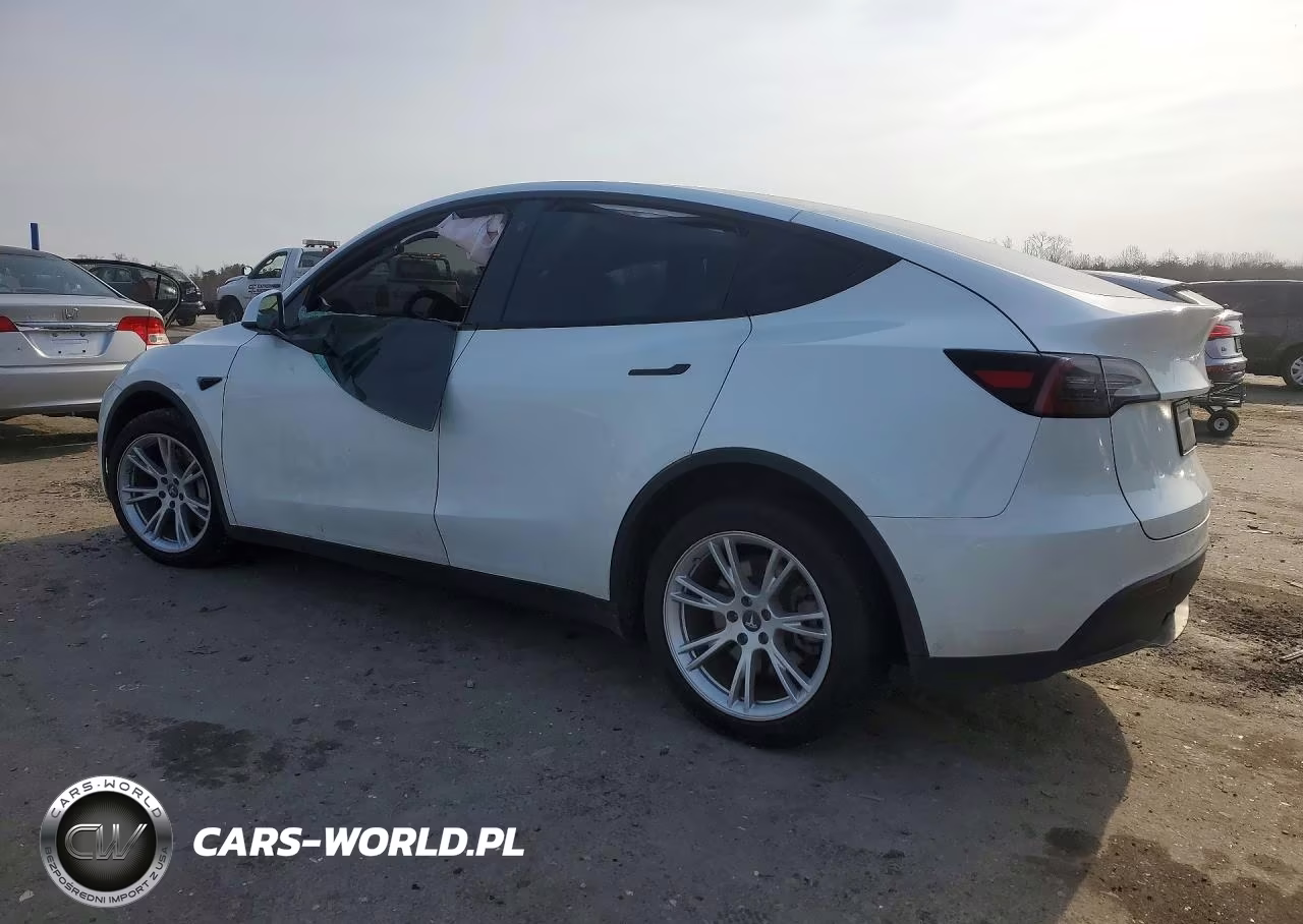 2022 Tesla Model Y VIN:7SAYGDEE0NF354168 - 2