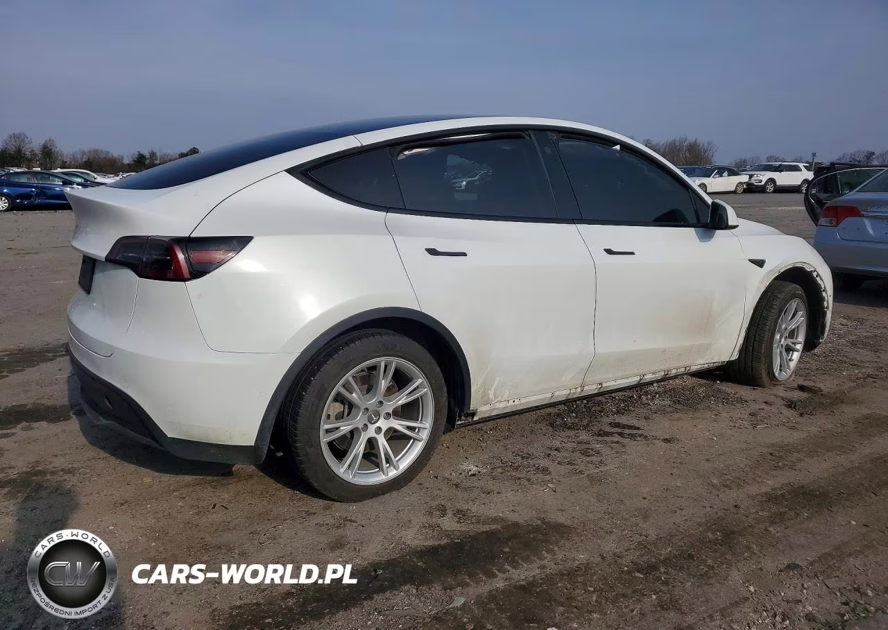 2022 Tesla Model Y VIN:7SAYGDEE0NF354168 - 3