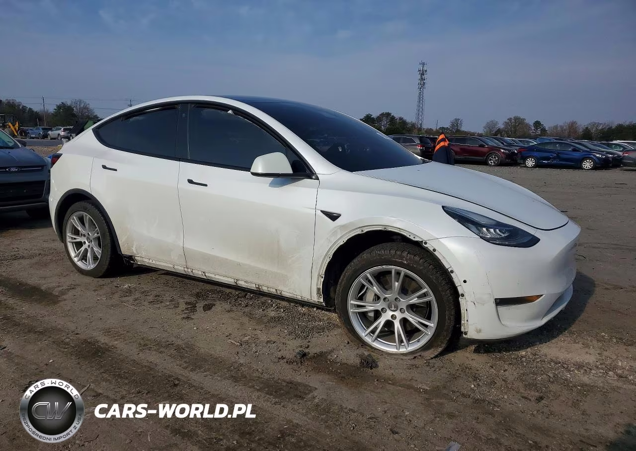 2022 Tesla Model Y VIN:7SAYGDEE0NF354168 - 4