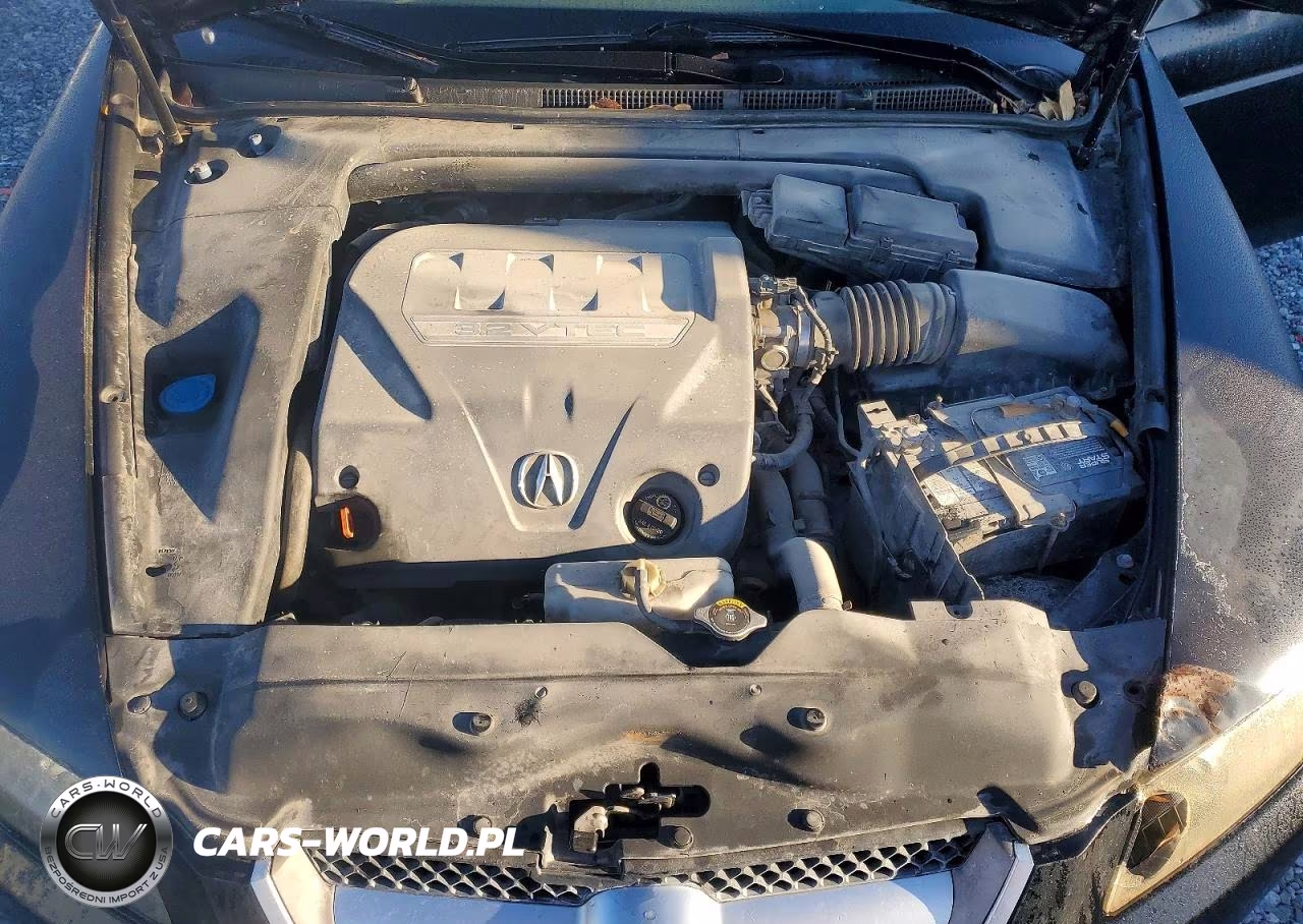 2007 Acura Tl VIN:19UUA66227A024235 - 11