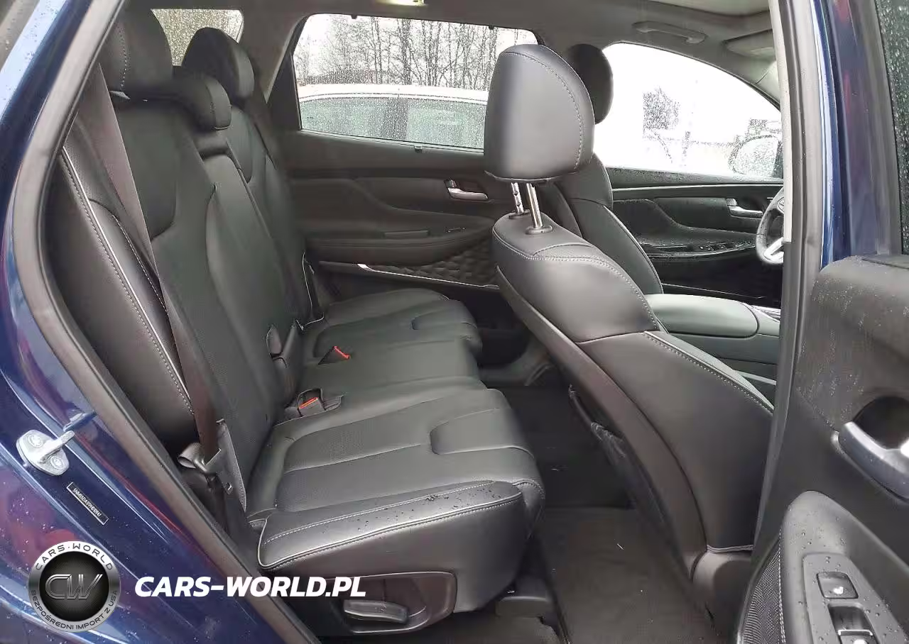2023 Hyundai Santa Fe Hybrid Limited VIN:5NMS5DA17PH010947 - 10