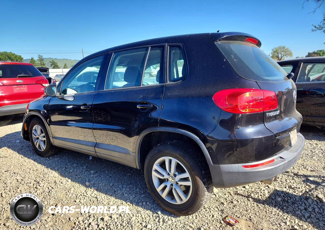2013 Volkswagen Tiguan S VIN:WVGAV3AX7DW567145 - 2